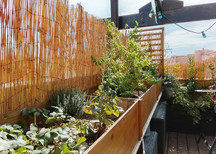 Roof 아파트호텔 3*